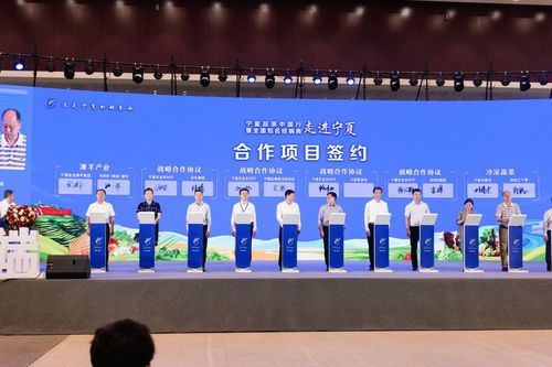 技術創新 品牌建設加持 助力寧夏農業綠色發展