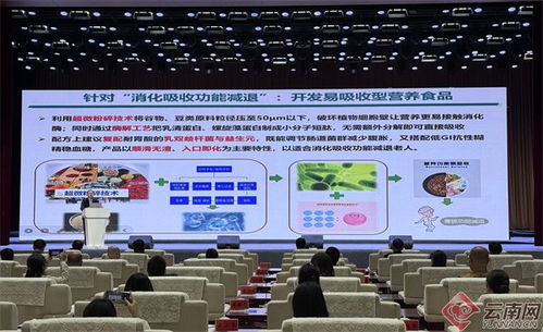 科技賦能，品牌驅動，西部農業加工新篇章——騰沖峰會共商發展大計