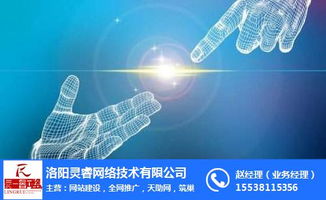 洛陽網(wǎng)站開發(fā)與裝修網(wǎng)站開發(fā)互聯(lián)網(wǎng)銷售費用解析